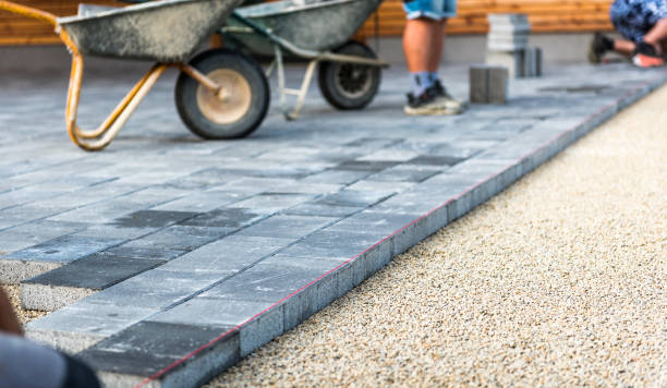 Best Driveway Paving Contractor  in Parshall, ND