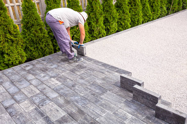 Best Driveway Paving Contractor  in Parshall, ND